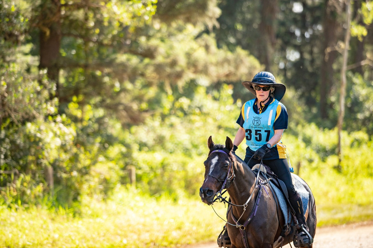 Helmet Brim Equest Endurance